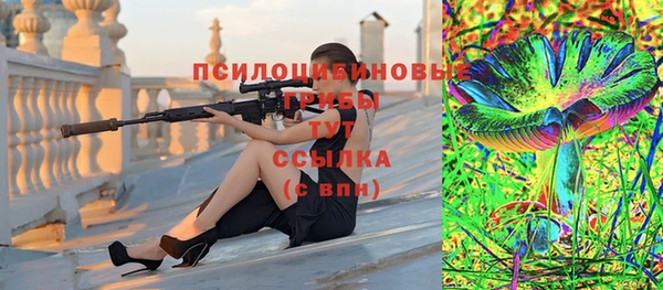 амф Алексин