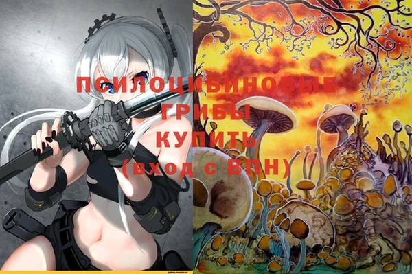 Альфа ПВП Алзамай