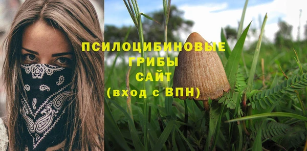 Альфа ПВП Алзамай