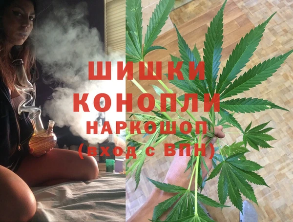 Альфа ПВП Алзамай