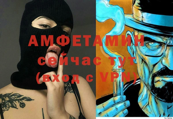 амф Алексин