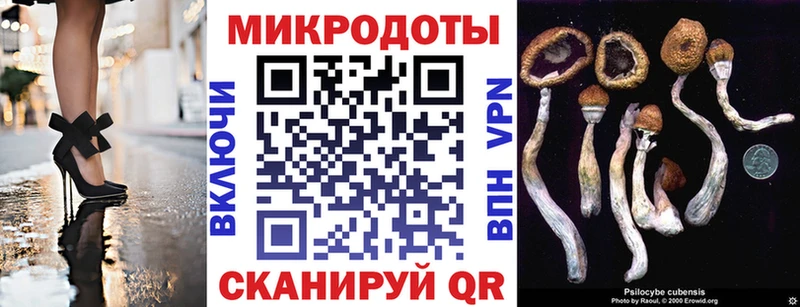 Псилоцибиновые грибы прущие грибы Кубинка